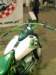 greenrider4_small.jpg